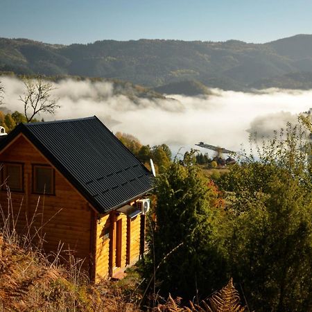 Vila Bella, Tara, Zaovinsko Jezero Villa Zaovine Bagian luar foto