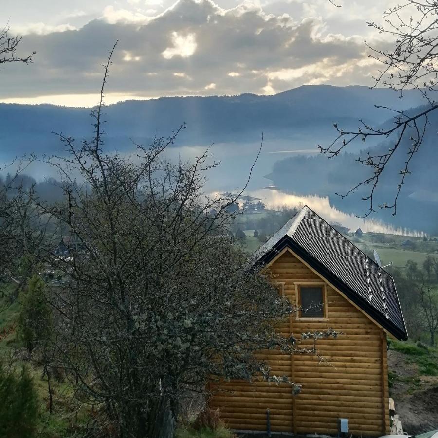 Vila Bella, Tara, Zaovinsko Jezero Villa Zaovine Bagian luar foto