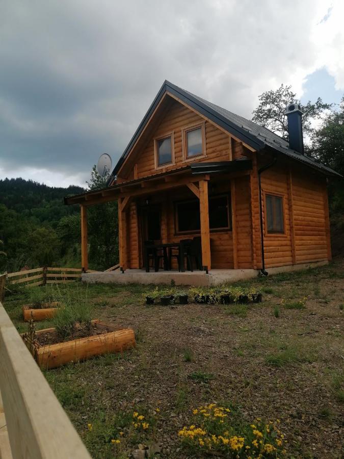 Vila Bella, Tara, Zaovinsko Jezero Villa Zaovine Bagian luar foto