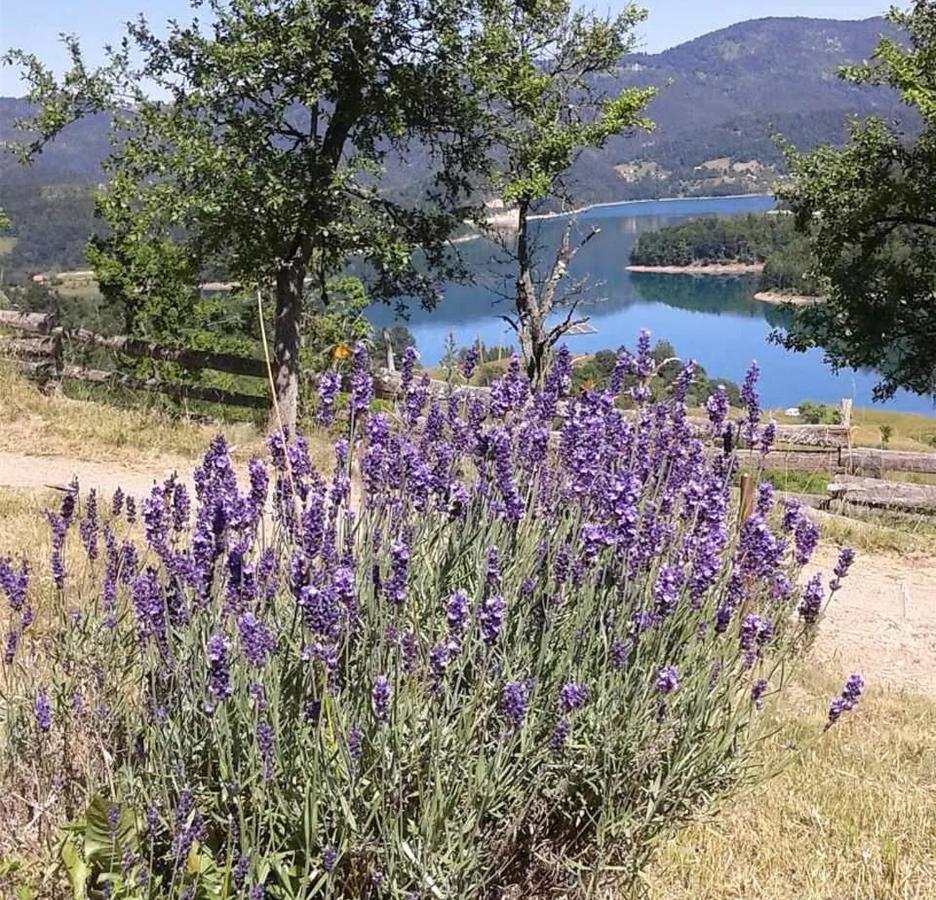 Vila Bella, Tara, Zaovinsko Jezero Villa Zaovine Bagian luar foto