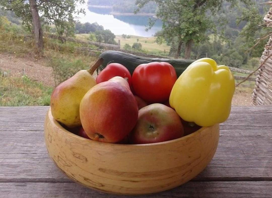 Vila Bella, Tara, Zaovinsko Jezero Villa Zaovine Bagian luar foto