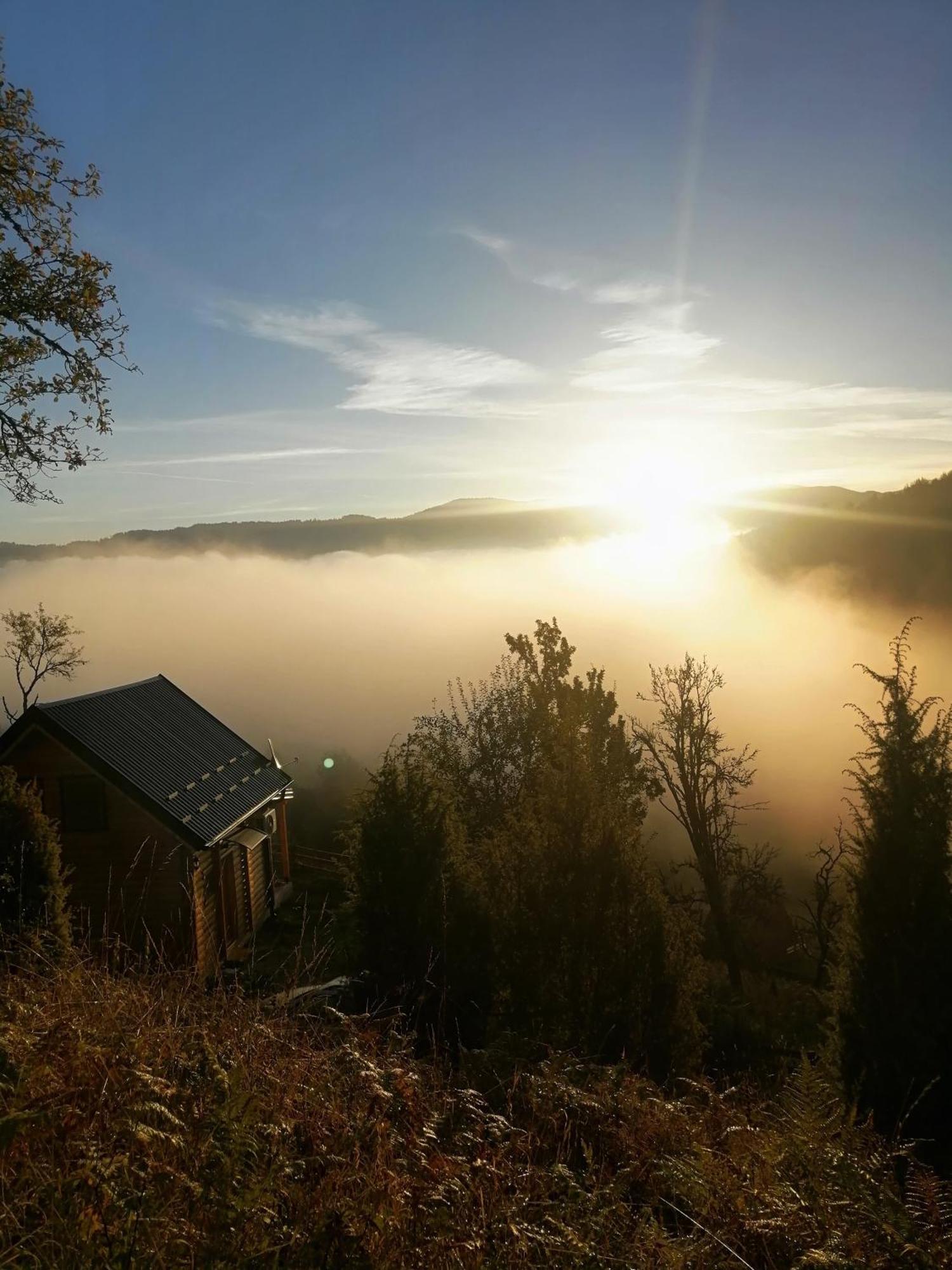 Vila Bella, Tara, Zaovinsko Jezero Villa Zaovine Bagian luar foto